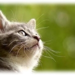 Thumbnail of post image 019